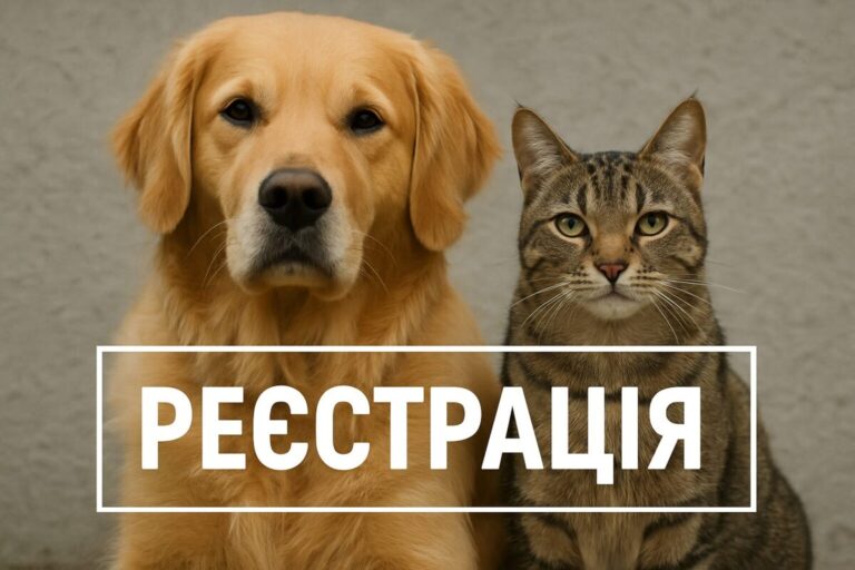 34567876543234567654345676545